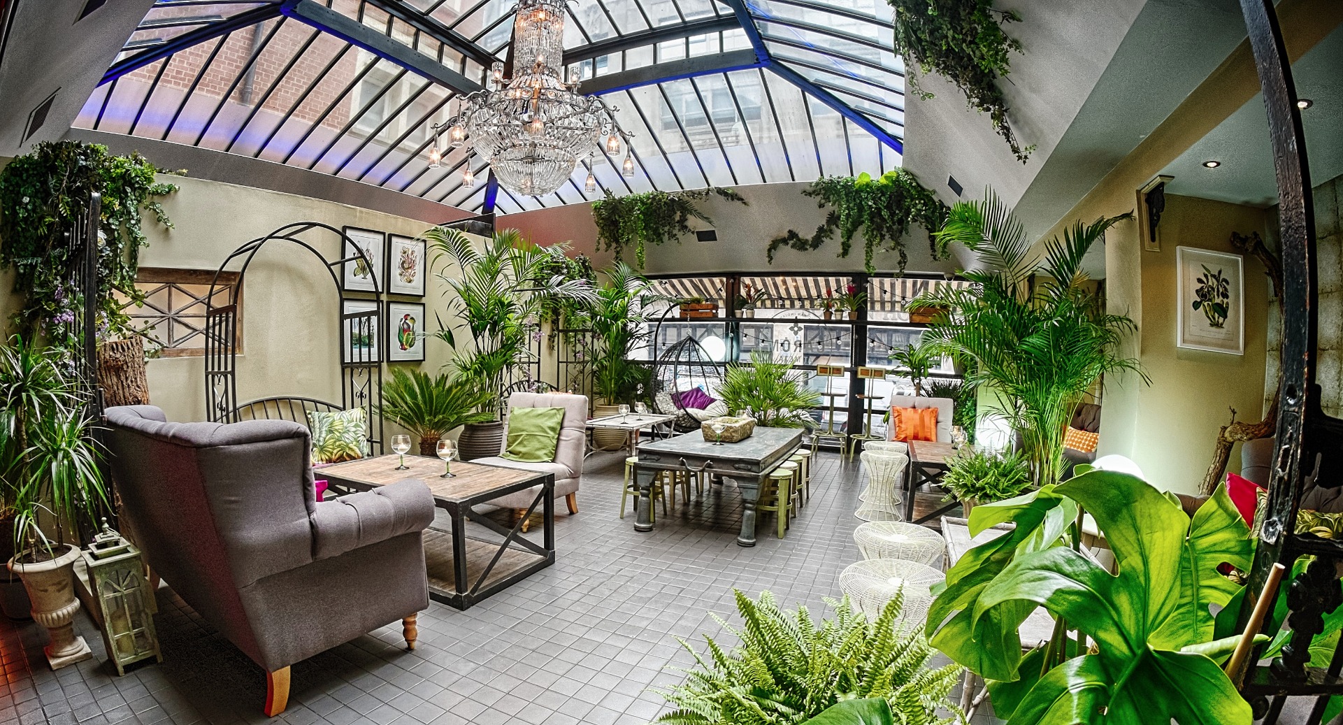 LSN News Light therapy Bar offers its patrons a ray of sunshine